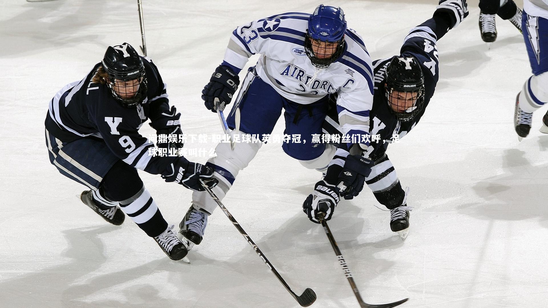 问鼎娱乐下载-职业足球队英勇夺冠，赢得粉丝们欢呼，足球职业赛叫什么