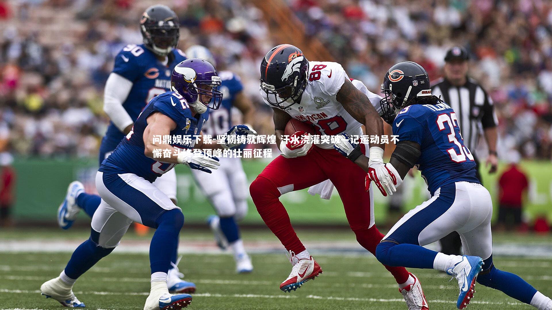 坚韧铸就辉煌 汗水浇灌突破—记运动员不懈奋斗终登顶峰的壮丽征程